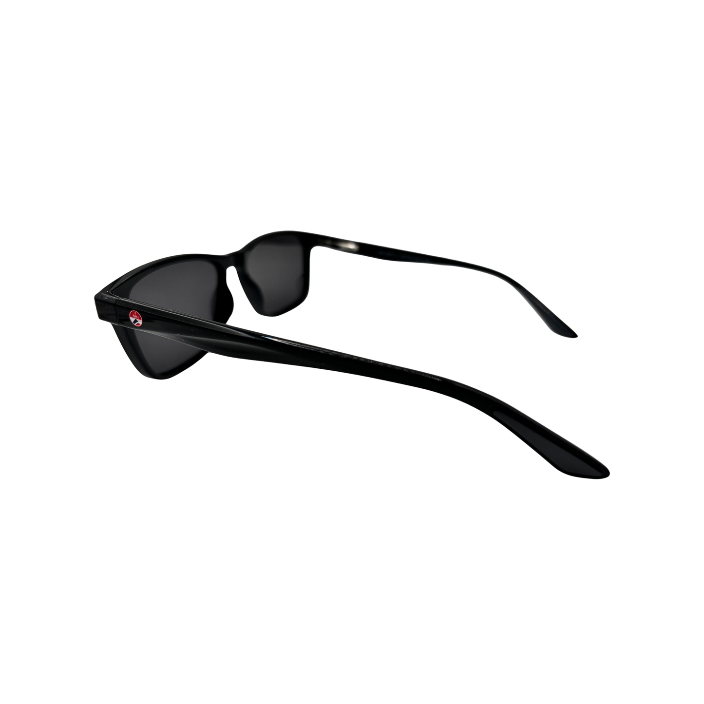 I SKI Classic Square Polarized Sunglasses – Black / Smoke